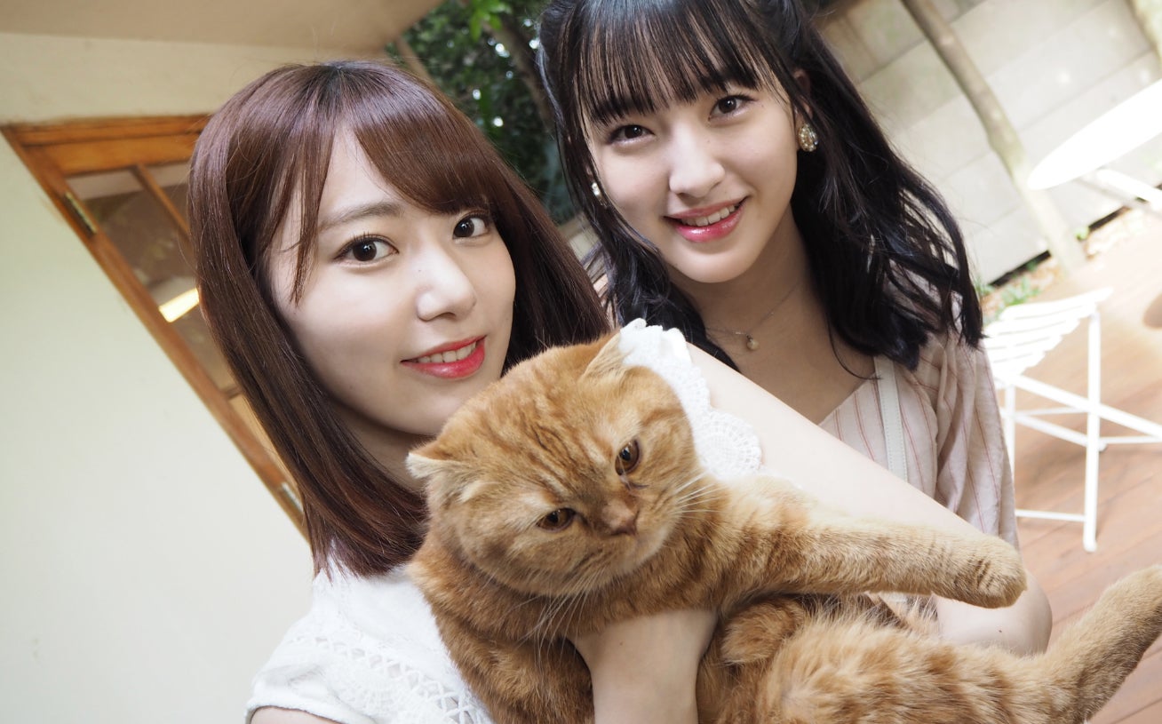 HKT48宮脇咲良が涙 総選挙は「今年で最後」重圧、決意を語る