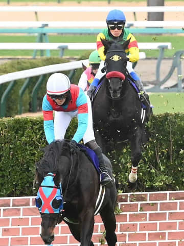 【中山大障害】エコロデュエル 春秋制覇！ 前哨戦で目に外傷も王者の貫禄・5馬身差V 草野「強いエコロデュエルが見せられた」