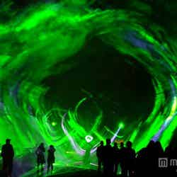 11月22日よりスタートする「森のオーロラ」【モデルプレス】