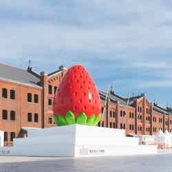 Yokohama Strawberry Festival 2025/提供画像