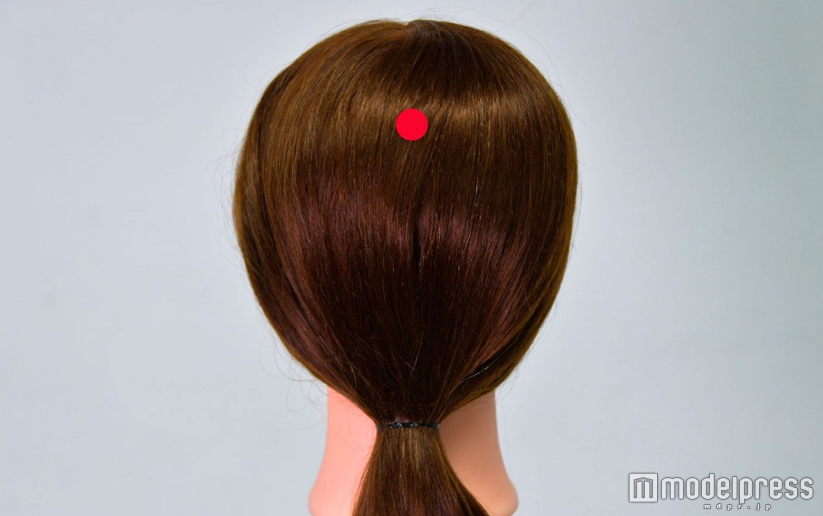 握りこぶしを押し当てた時の中指（C）モデルプレス