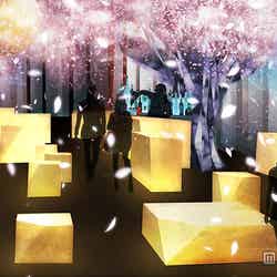 「桜彩(おうさい)」イメージビジュアル/画像提供:ネイキッド