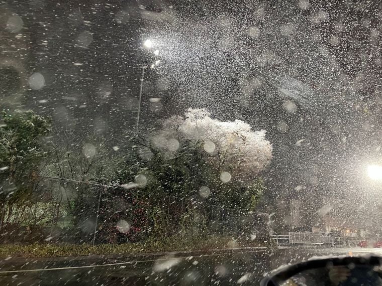 自粛と吹雪 変化を受け止められる心身へ