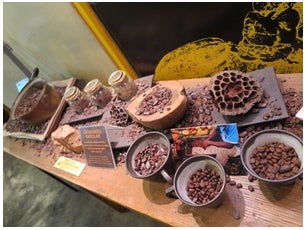 「cacao green」は店内もカカオでいっぱい／桃オフィシャルブログ（Ameba）より