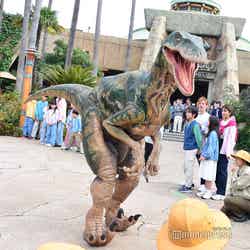 (C)モデルプレス