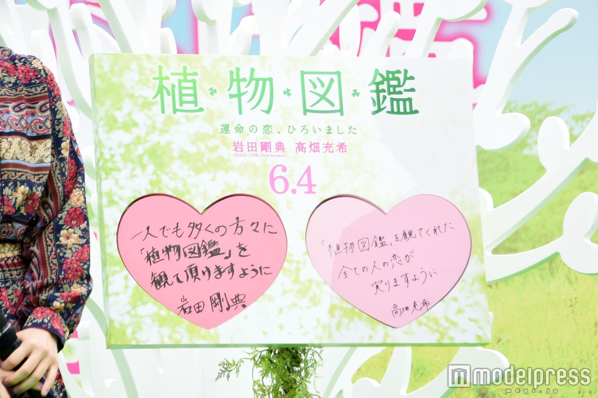 “恋愛成就の木”に願い事（C）モデルプレス