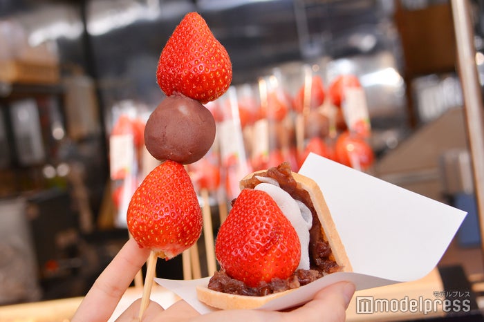 天山 本店の「あまおういちご団子」と「あまおういちご大福最中」(C)モデルプレス