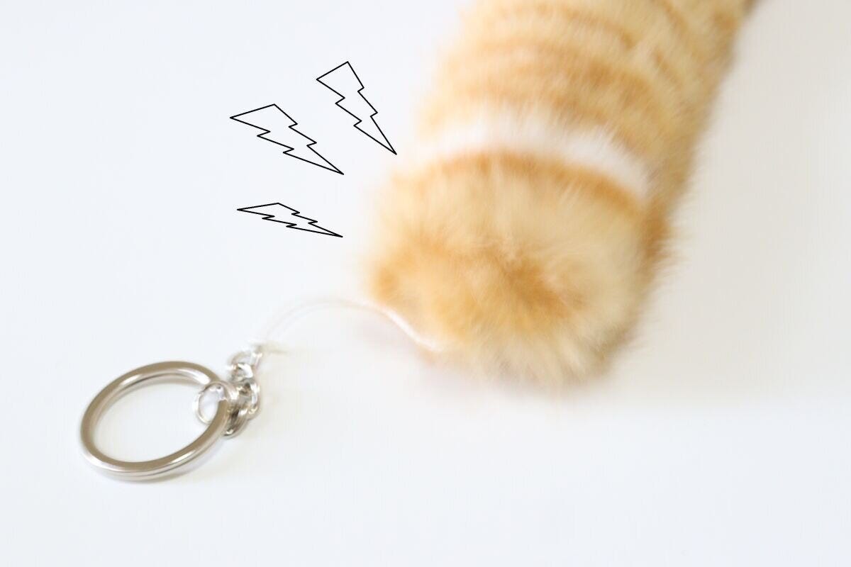 ダイソー しっぽキーホルダー(A) ダイソーのぶるぶる震えるしっぽキーホルダー(A)