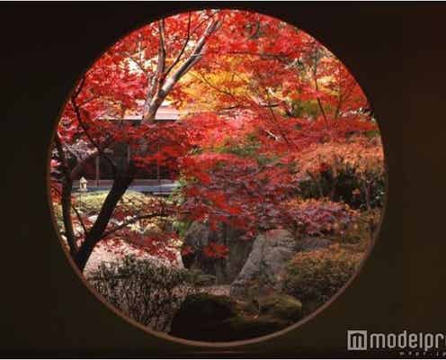 秋の行楽シーズン間近!日帰りで行ける千葉の紅葉名所3選