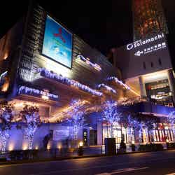 ハナミ坂(昨年の様子)(C)TOKYO-SKYTREETOWN