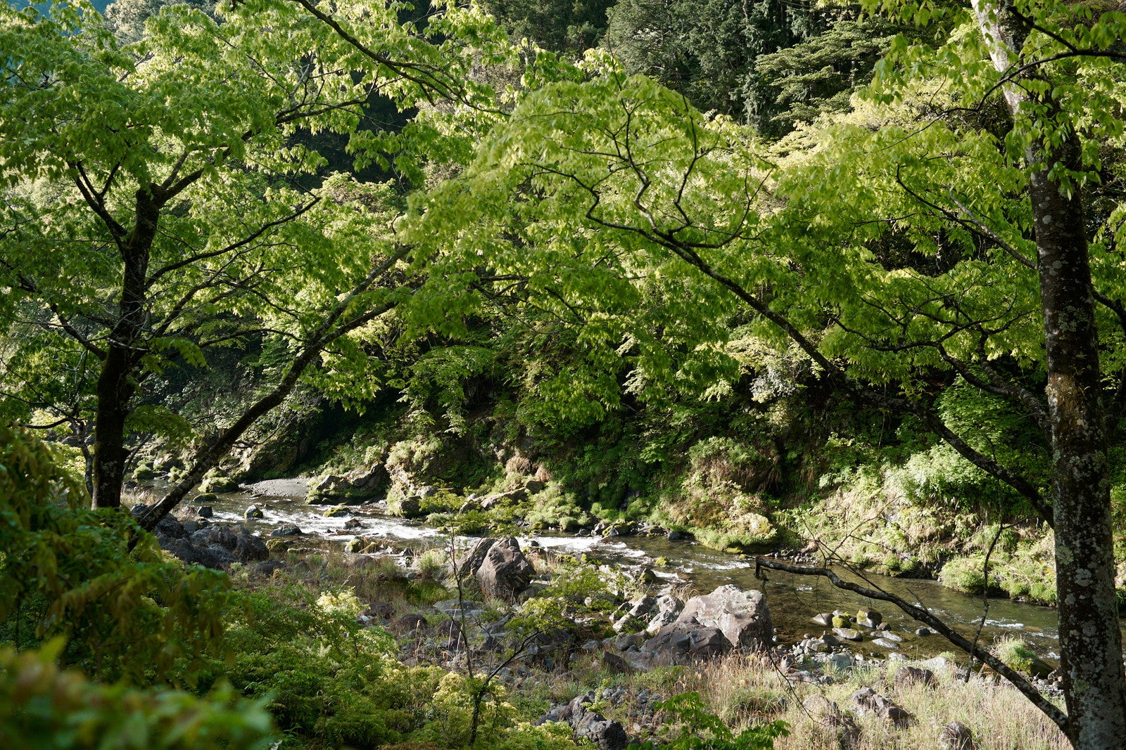 （C）Daisuke Takashige