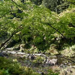 (C)Daisuke Takashige