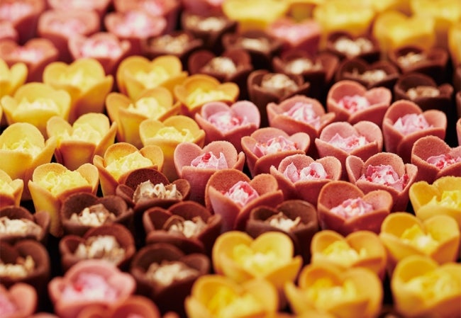 TOKYOチューリップローズ／画像提供：グレープストーン