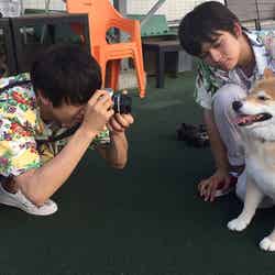 湘南海岸で出会った柴犬まるちゃんと写真撮影 （C）NHK