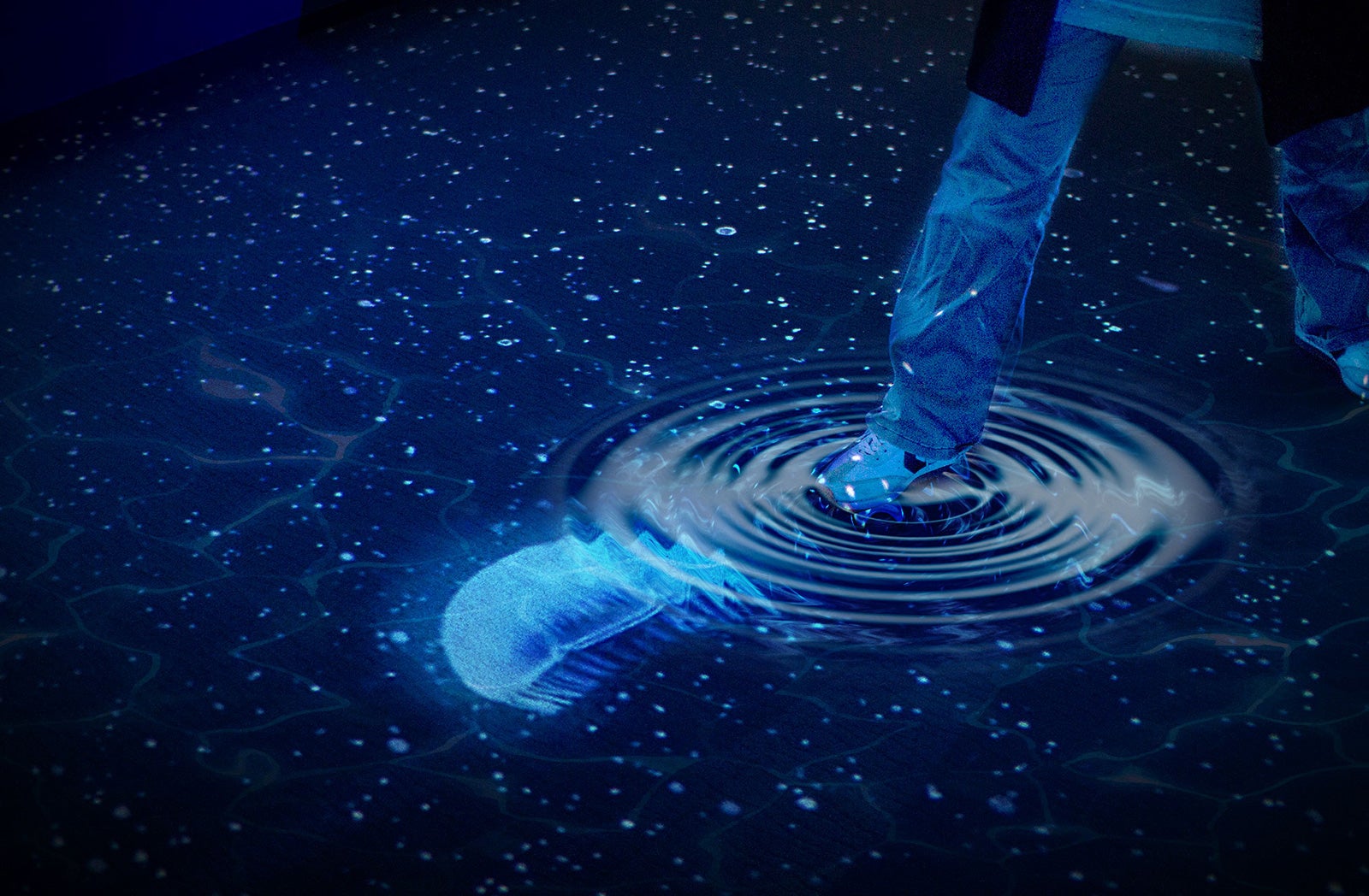 水の上を歩くと波紋が広がる／画像提供：オリックス株式会社