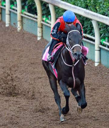 【ファンタジーS】ブライトスクリプト 坂路をパワフル駆け 池添好感触「いい形で上がって来られた」