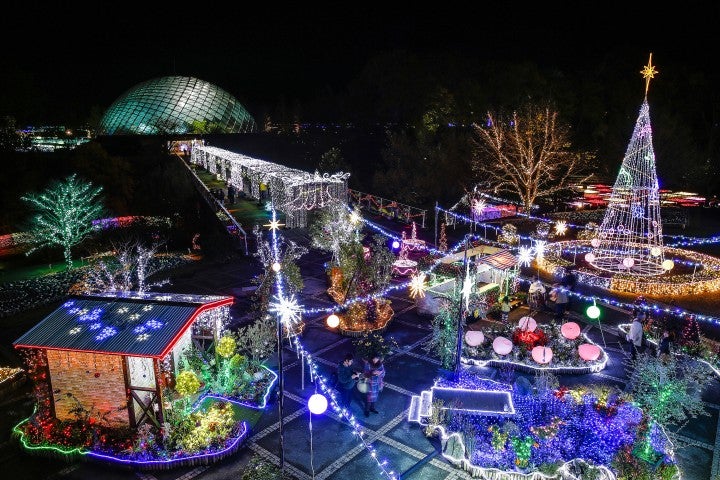140万球イルミ輝く花と光のファンタジー空間　日本最大級フラワーパークの冬演出が美しい