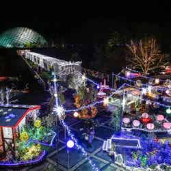 西館テラス/画像提供:鳥取県