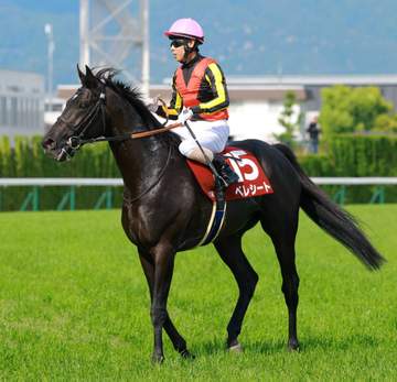 母がクロノジェネシスの良血馬ベレシートが右脚を痛めダービーへの出走を回避