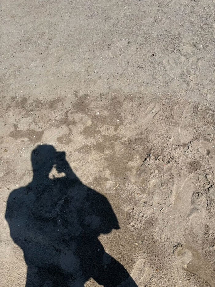 古敷谷宗「海のはじまり」(提供写真)