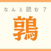 栄螺 って何て読む 読めたらスゴイ 難読漢字 4選 モデルプレス 栄螺 って何て読む 読めたらスゴイ 難読漢字 4選 モデルプレス
