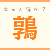 栄螺 って何て読む 読めたらスゴイ 難読漢字 4選 モデルプレス 栄螺 って何て読む 読めたらスゴイ 難読漢字 4選 モデルプレス