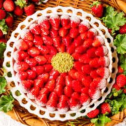 イチゴのタルト/画像提供:キルフェボン