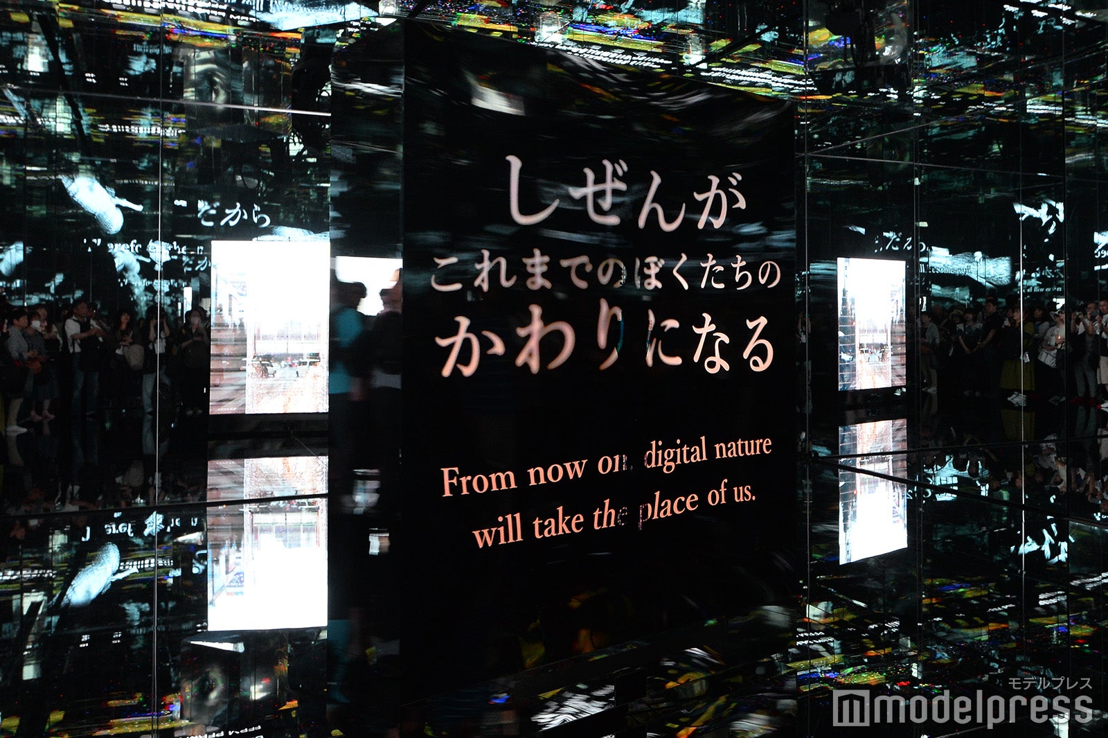 null2（C）モデルプレス