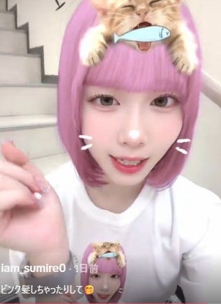 表すみれTikTokより