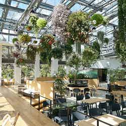 HANA・BIYORI/画像提供:よみうりランド