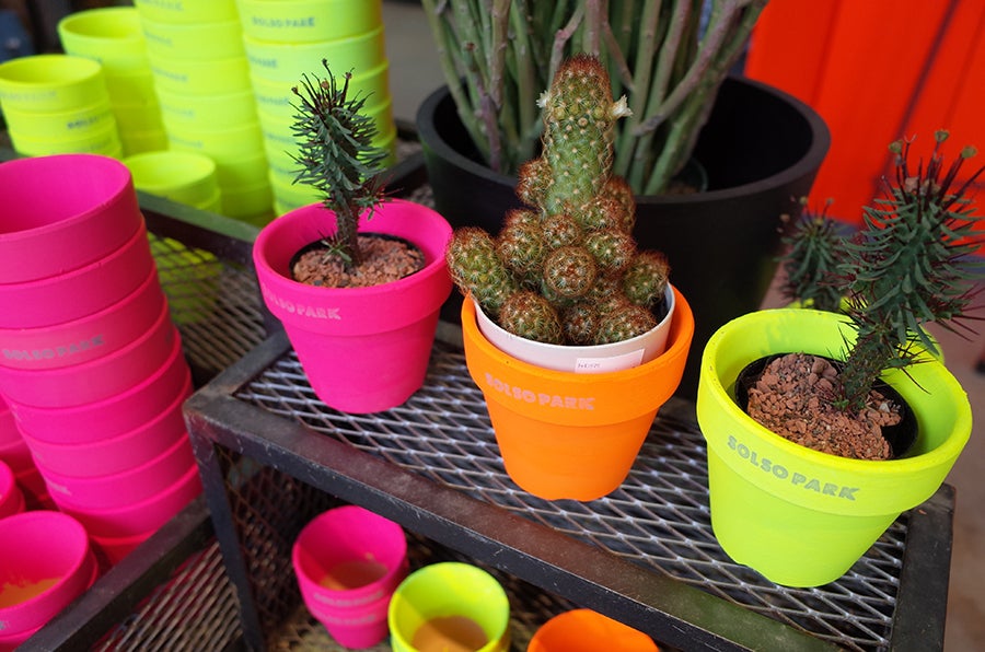 SOLSO PARKグリーン