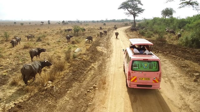 「あいのり：African Journey」新トレーラーより（提供写真）