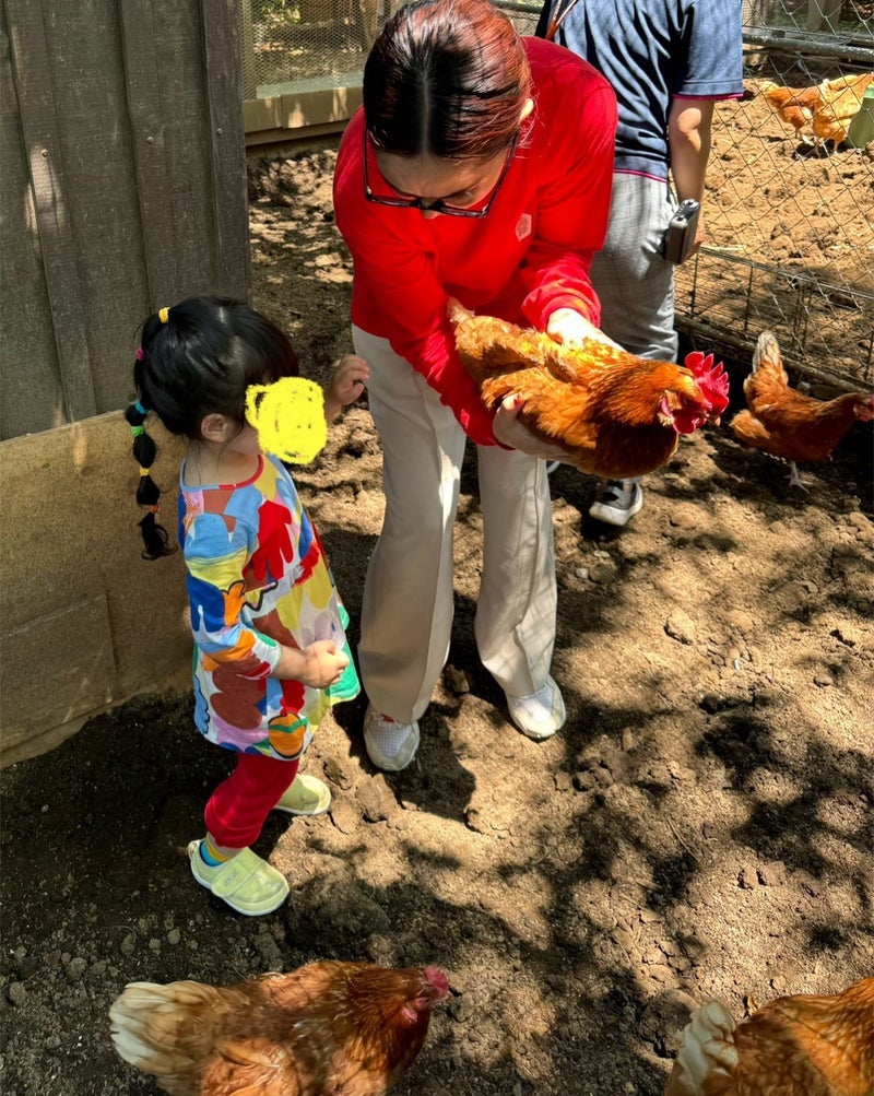 平野ノラ オフィシャルブログより