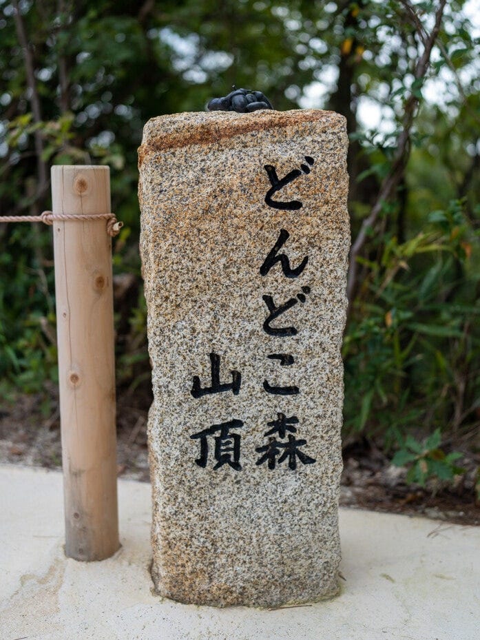 山頂には「どんどこ森 山頂」と書かれた表示があります。うん？ 上に黒い何かが置かれていますが……