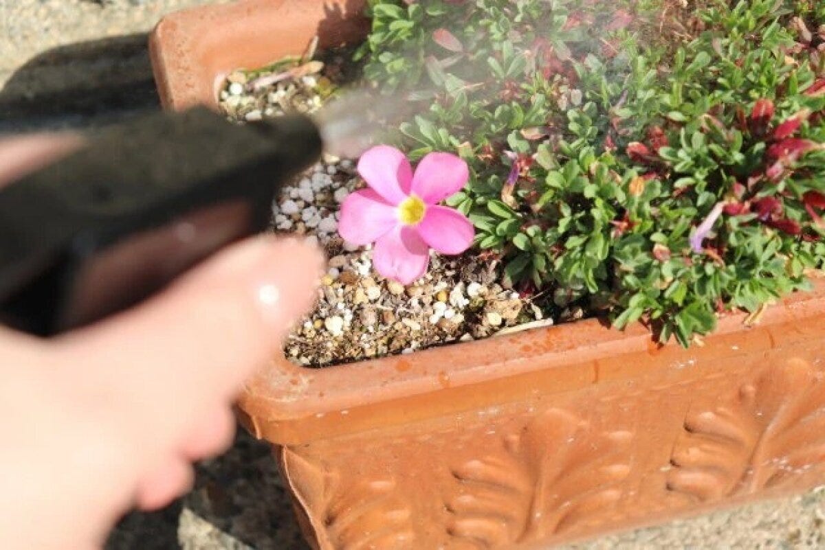 ダイソー　逆さで使えるスプレーボトル（スリム、250ml）　噴射　使用例