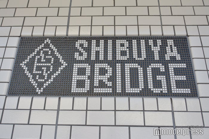 渋谷ブリッジ (C)モデルプレス