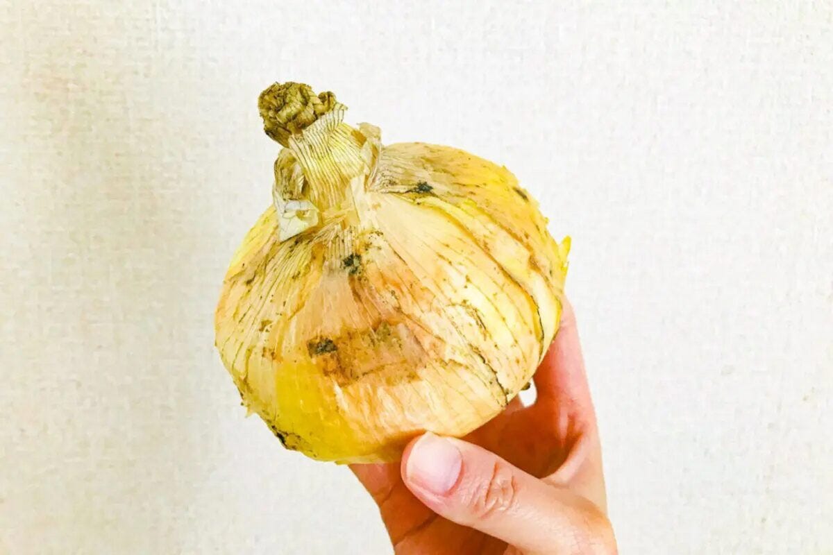 新玉ねぎ