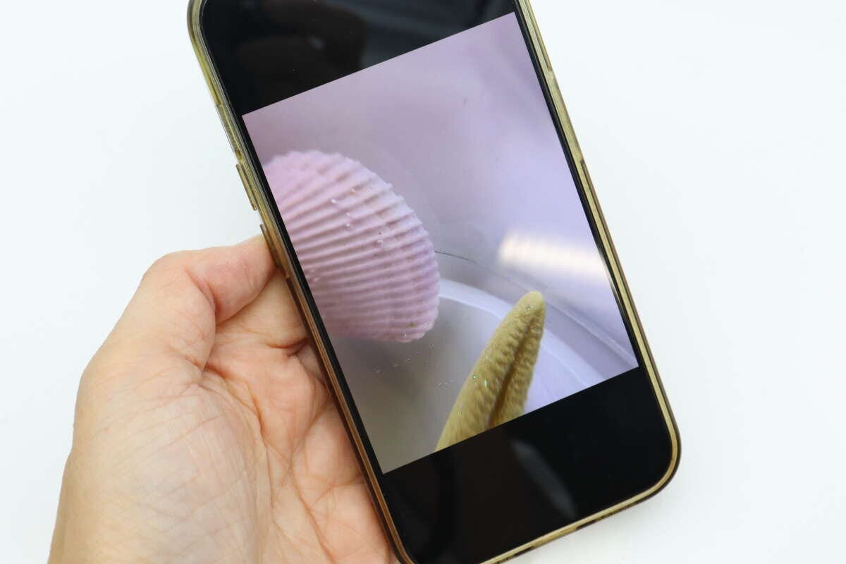 スマートフォン防水ケース（パープル）　撮影画像