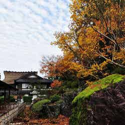 加賀温泉郷/加賀溫泉鄉 (117) by lynn_cyc