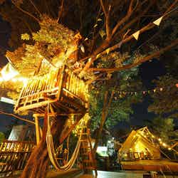 秋風コムナ/画像提供:株式会社拓匠開発