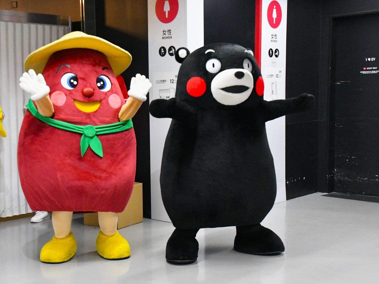 試合開始前の高揚感につつまれて=9月1日、東京都文京区