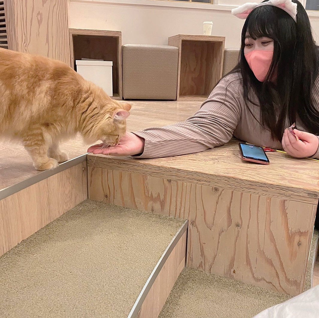 えみっくす（提供写真）