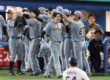 阪神 高寺決勝2ラン直後のベンチが最高！肩を組んで喜び合う→近本、森下、佐藤輝が代走・植田に手荒い祝福 投手の注意引きつけた存在感も要因に