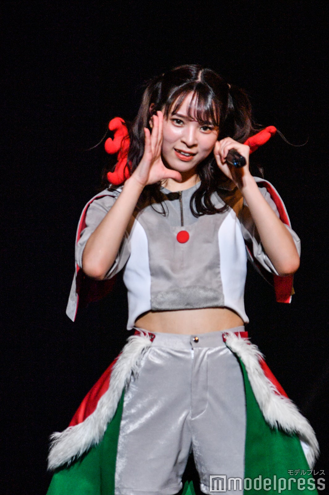 豆柴の大群（C）モデルプレス