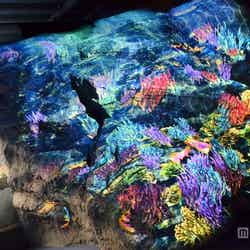 館内に入ってすぐの「ウェルカムマッピング」