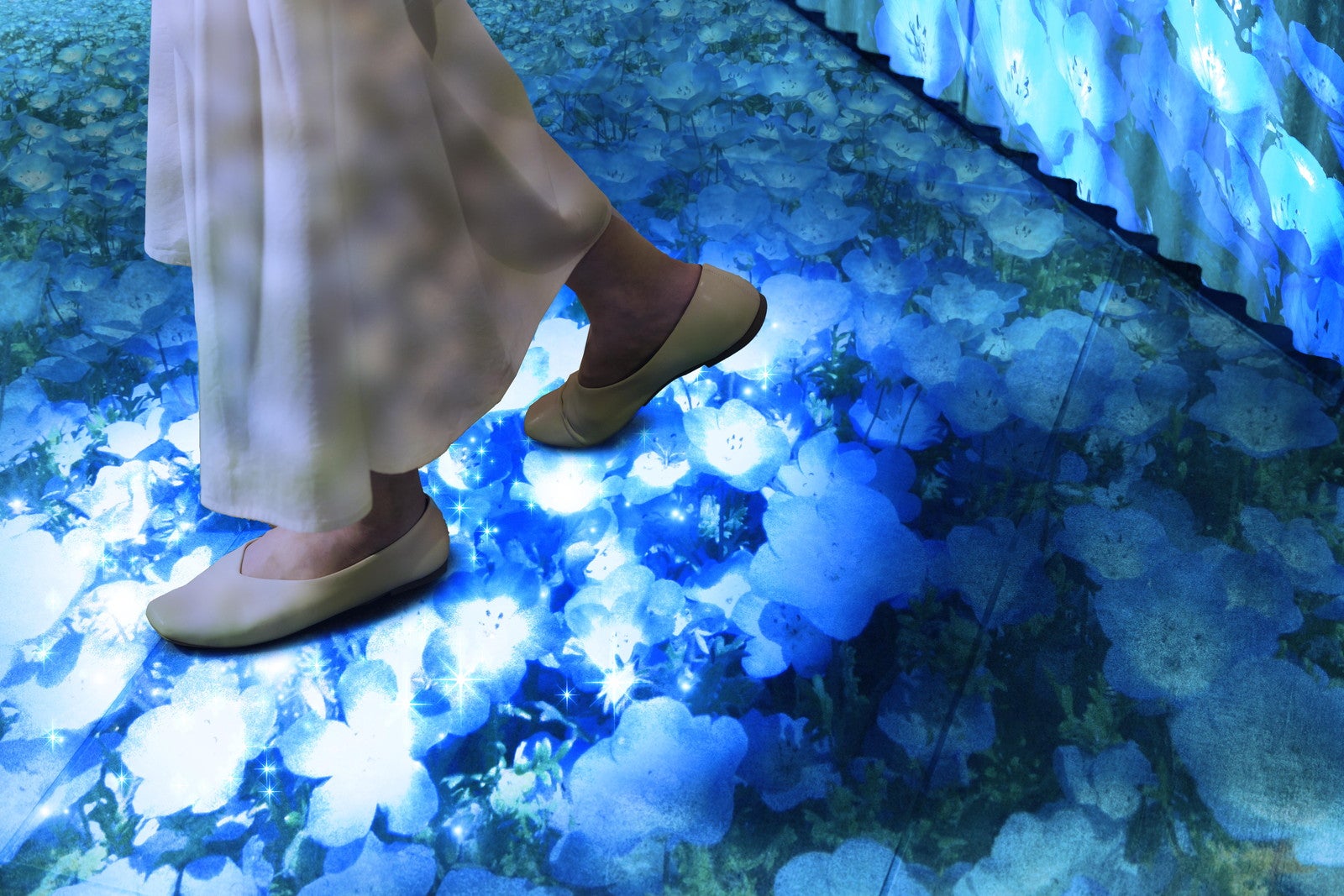 いつでもネモフィラブルーミング／提供画像