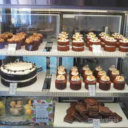 The Lime Tree Cafe & Kitchen(C)モデルプレス