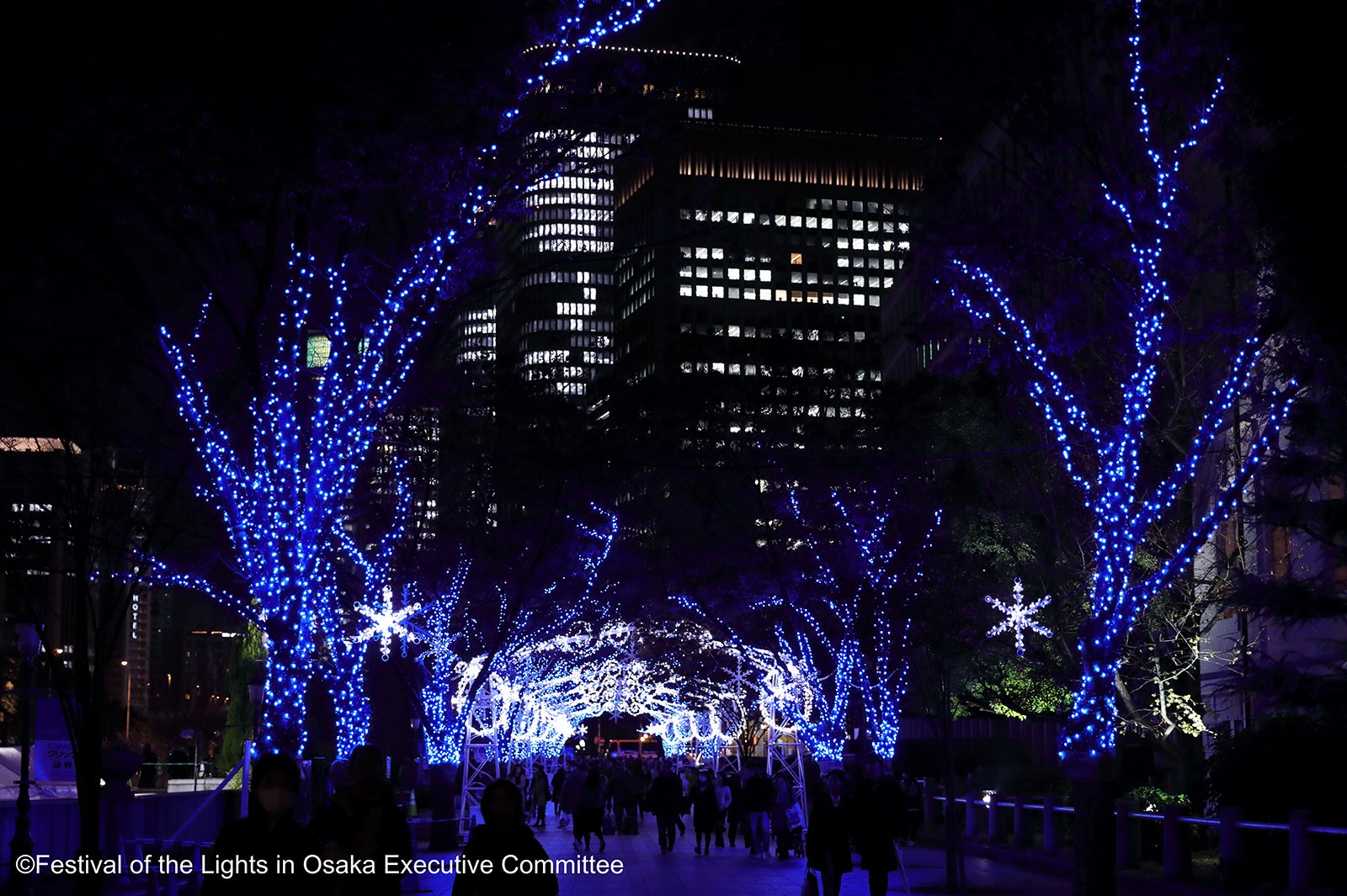 過去のイルミネーションの様子（C）大阪・光の饗宴実行委員会