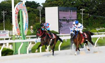 【地方競馬】ハイラブレジェンドが重賞初制覇 ゴッドフェンサーの兵庫3冠を阻止