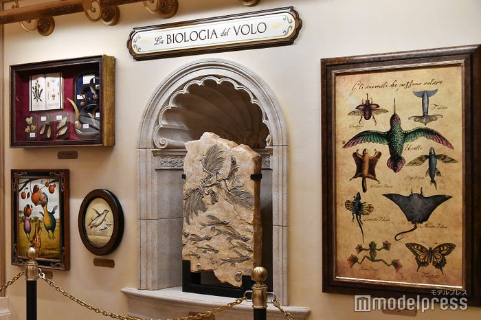 よく見ると“ミッキー風”の展示物が…/「ソアリン:ファンタスティック・フライト」内観(C)モデルプレス(C)Disney